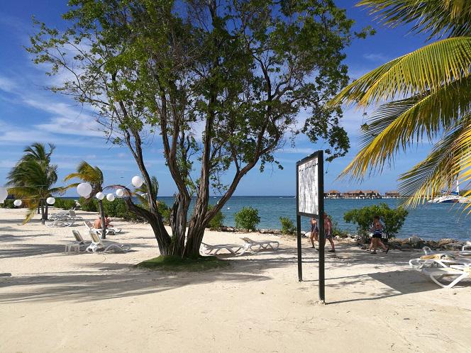 ESKA Odwołuje Zimę 2018 - RELACJA prosto ze słonecznej Jamajki! [ZDJĘCIA, VIDEO]