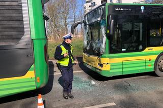 Straszny wypadek autobusów w Szczecinie. Kilkunastu poszkodowanych, w tym 7 dzieci