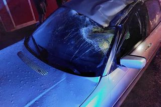 W Samborcu konar drzewa spadł na samochód. Jedna osoba ranna