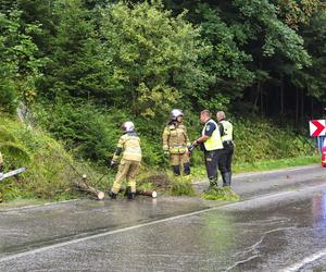 Połamane drzewa, zniszczone auta, uszkodzone dachy na Podkarpaciu. To skutek burz i nawałnic