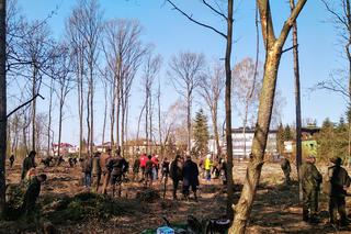 Katowice: Leśnicy sadzą na Muchowcu nowe drzewa [ZDJĘCIA, AUDIO]