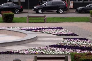 Kwietniki w Gdyni są chlubą miasta