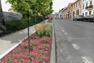 Centrum Lublina ma się zazielenić. Będą też zmiany w organizacji ruchu 