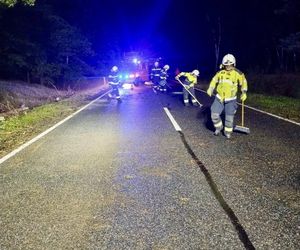 Drzewo runęło na jadący samochód! O krok od tragedii na DK 10 pod Bydgoszczą