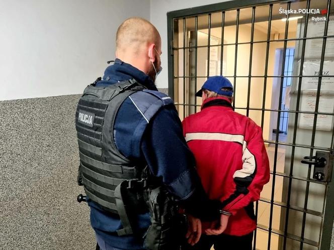 Brutalnie zabił kota. Skręcił mu kark i wyrzucił do kosza. Zapadła ważna decyzja