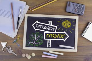 Introwertyk, ekstrawertyk, ambiwertyk - test osobowości