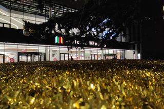 Choinka pod Galerią Młociny. Pierwsza w stolicy!