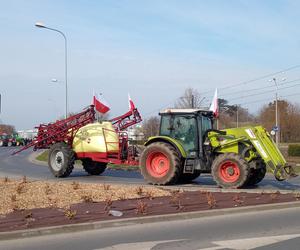 Protest rolników