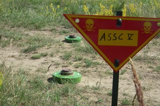 Minowy dylemat Niemiec. Czy Berlin porzuci traktat ottawski?