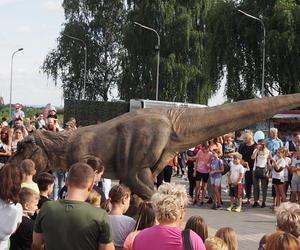 Piknik Rodzinny „Sport wzbogaca - nałóg zatraca na Kopcu Wyzwolenia w Piekarach Śląskich 