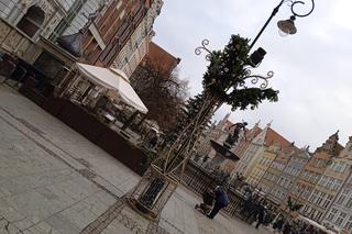 Zimowo i świątecznie w Gdańsku. Zobaczcie nasze zdjęcia!