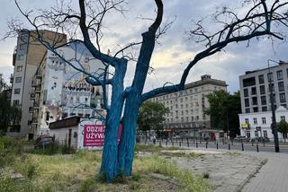 Warszwa: niebieskie drzewo na rondzie Wiatraczna. Kto je pomalował?