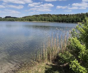 To jezioro w Olsztynie ma niezwykle czystą wodę. Jest kilka dzikich plaż, które świecą pustkami