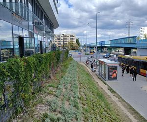 Osiedle Bliska Wola Tower w Warszawie