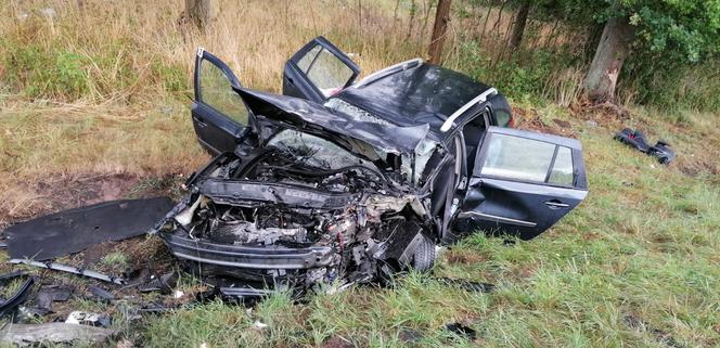 Siedem osób rannych, lądowały trzy śmigłowce. Wypadek pod Lesznem