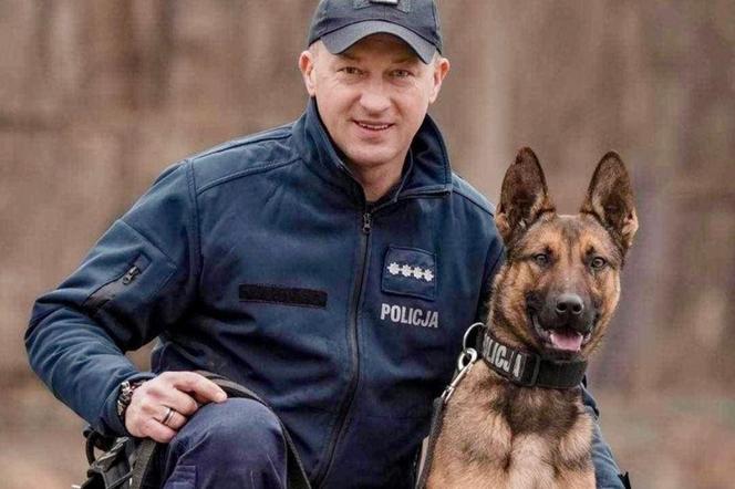 Do policji w Sosnowcu wstąpił nowy funkcjonariusz. To Sago, owczarek belgijski 
