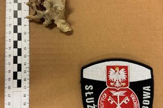 Przywiozła sobie piękną pamiątkę z Egiptu