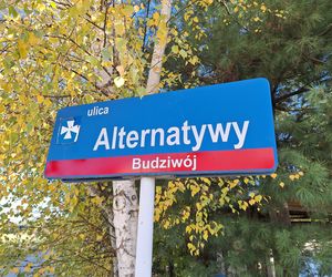 ul. Alternatywy 