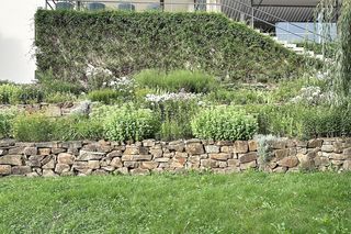 Willa Tugendhatów w Brnie