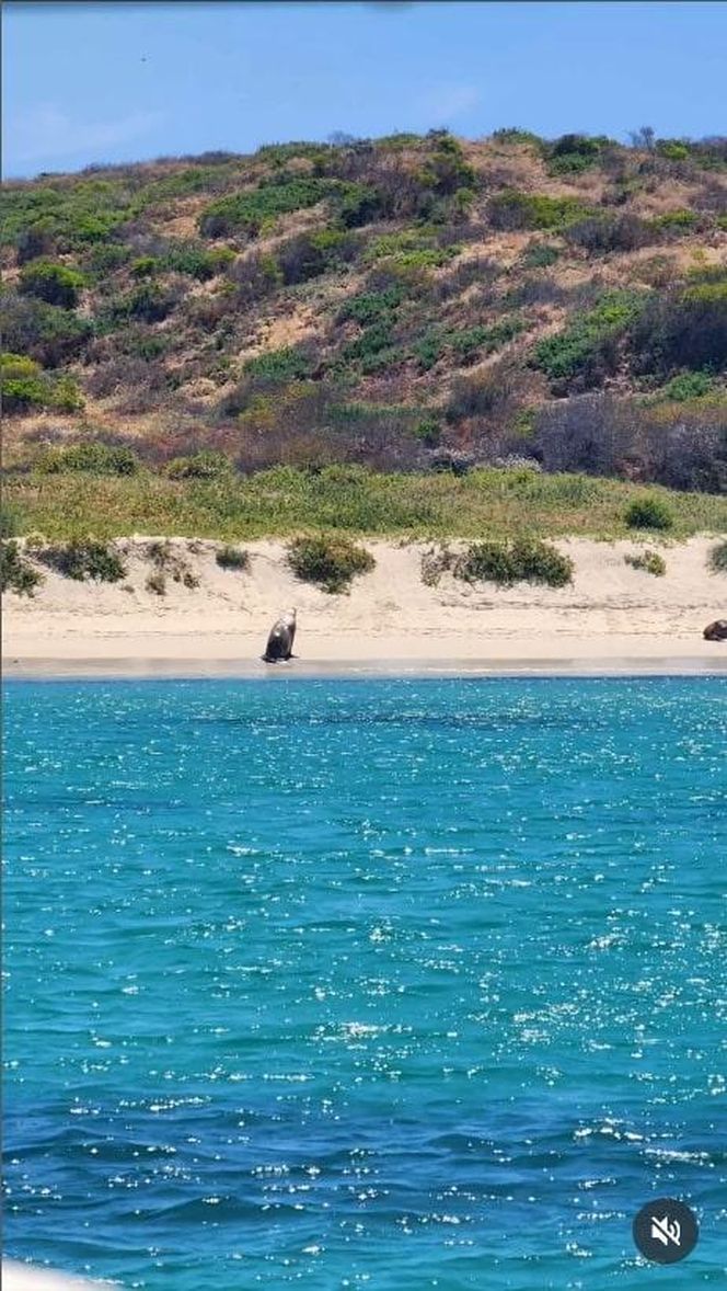 Dramat uczestnika "Ślubu od pierwszego wejrzenia"! On chce rozwodu, ale… żona i produkcja milczą