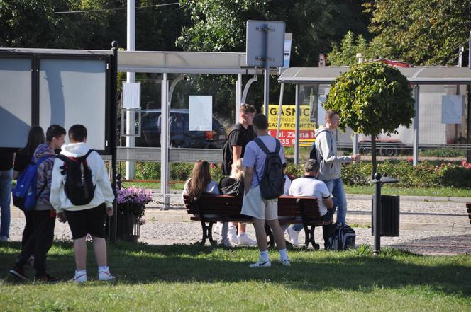 Przystanki busów przy Niepodległości