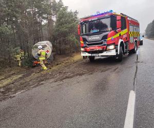 Wypadek na DK 25 pod Bydgoszczą. Cysterna wypadła z drogi i zatrzymała się na drzewie