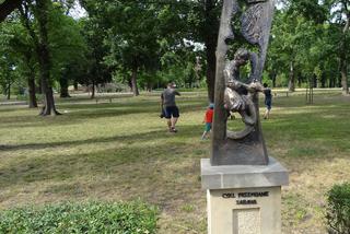 Kostrzyn: Po zuchwałej kradzieży piękne rzeźby znowu zdobią miejski park