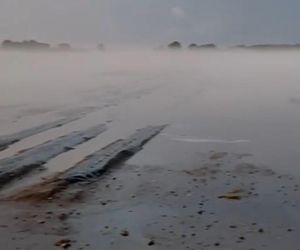 Zniszczone plantacje warzyw i owoców na Dolnym Śląsku. To był prawdziwy armagedon 