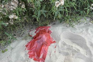 Makabryczne znalezisko nad Wisłą! Plażowicz wyłowił ludzką czaszkę