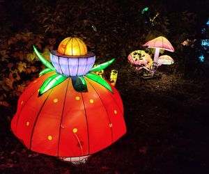 Park iluminacji w Lublinie