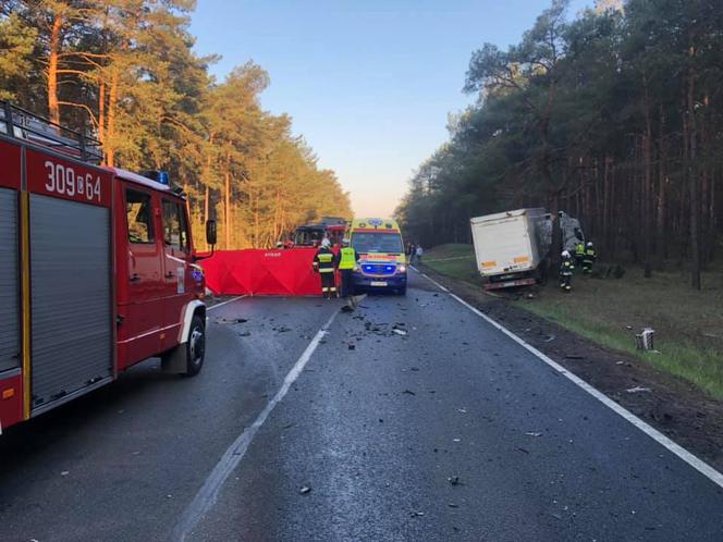 Tragiczny wypadek na DK 10 pod Bydgoszczą! Nie żyje jedna osoba! [ZDJĘCIA]