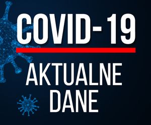 Koronawirus w Polsce: statystyki i mapa zakażeń