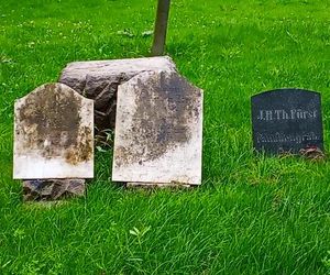 Ohlsdorfer Friedhof w Hamburgu