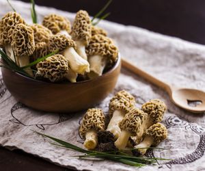 Smardze – wiosenne rarytasy! Gdzie można legalnie zbierać te wyjątkowe grzyby?