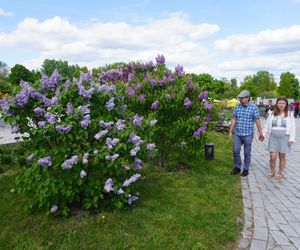 Ogród Botaniczny w Kielcach