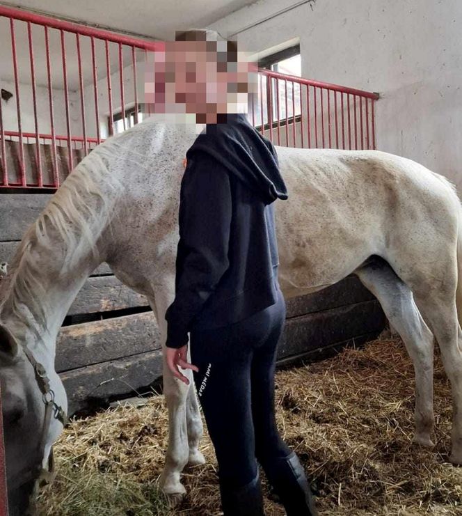 Skandalicznie niski wyrok dla sprawcy potrącenia nastolatki na pasach