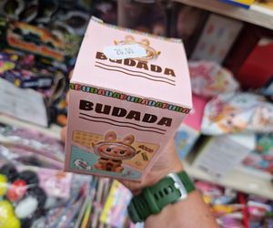 Dzieci błagają o Labubu. Rodzice płaczą przy kasie – ile kosztuje wakacyjny hit?