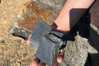 Kostka brukową rzucali w pawiany na wybiegu