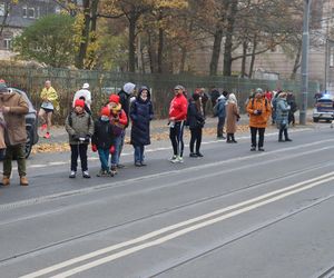 Bieg Niepodległości RUNPOLAND w Poznaniu