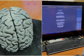 Na KUL-u drukują ludzki mózg w 3D. Zobacz zdjęcia!