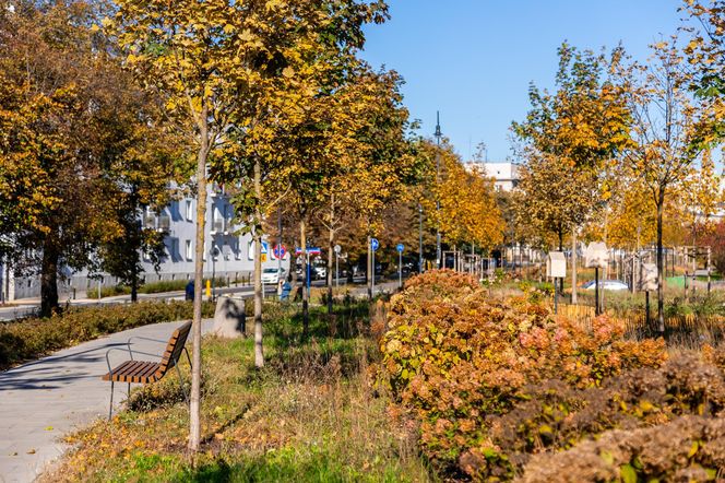 Park linearny na Bielanach w Warszawie