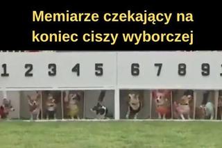 Najlepsze memy o wyborach samorządowych 2024. Internauci znowu nie zawiedli