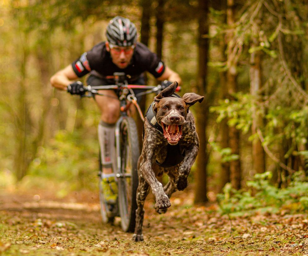Adam Kołodziej i Teodor. Niezwykły tandem canicross [POSŁUCHAJ]