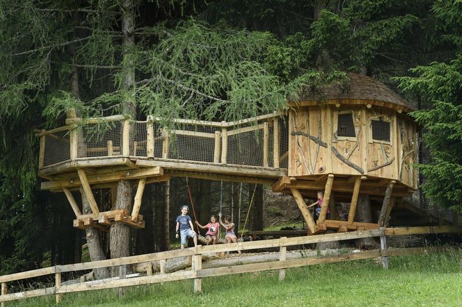 Szlak Baumhausweg -  ścieżka domków na drzewie, Stubai