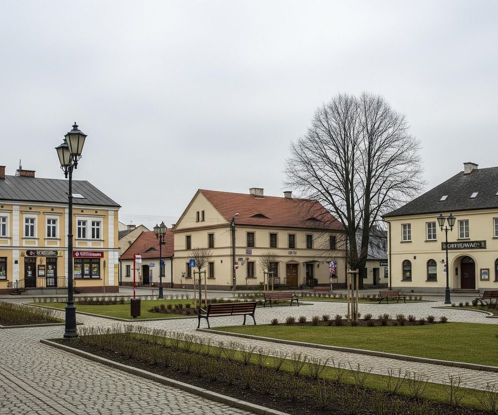 Centralnym punktem zdjęcia jest plac miejski z brukowanymi ścieżkami i trawą, otoczony budynkami. Na pierwszym planie, po lewej stronie, widoczna jest latarnia uliczna z dwoma kloszami. W tle dominują trzy dwupiętrowe kamienice o jasnych elewacjach: pierwsza z lewej w kolorze żółtym z brązowym dachem i białymi oknami, pośrodku budynek z pomarańczowym dachem, a po prawej kolejna kremowa kamienica z ciemnym dachem. Pomiędzy budynkami rośnie duże, bezlistne drzewo, a na placu znajdują się ławki i młode drzewka. Pochmurne, jasnoszare niebo zajmuje górną część kadru.