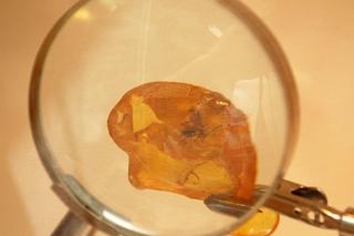 Gdzie w Polsce szukać skarbów? Co można znaleźć i czy to legalne? Wykrywacze metali, złoto i bursztyny