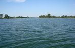 Gopło