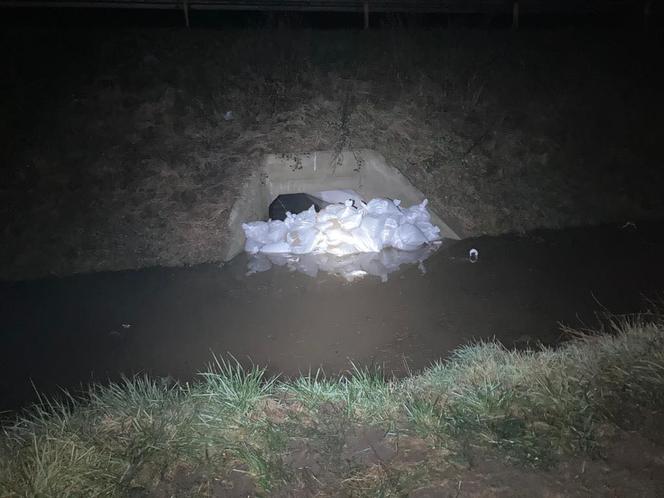 Opole: Fala wezbraniowa na Odrze. Podtopienia w Czarnowąsach, Wróblinie i Opolu