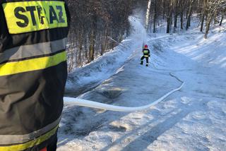 Katowice: Tor saneczkowy w Parku Kościuszki