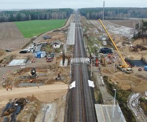 Rail Baltica w woj. podlaskim. Prace idą pełną parą. PKP pokazało zdjęcia